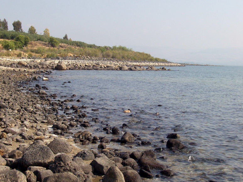 isra232.jpg