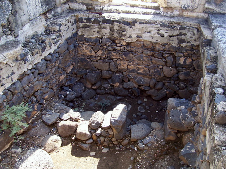 isra262.jpg