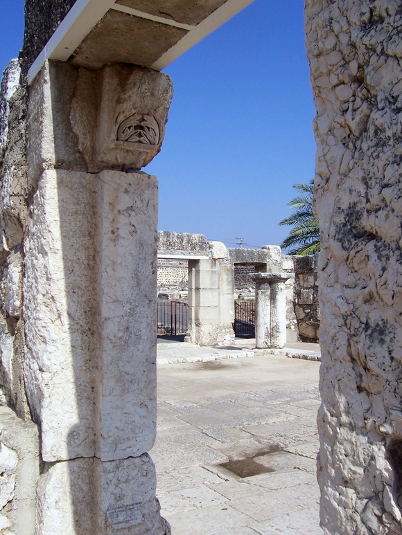 isra263.jpg