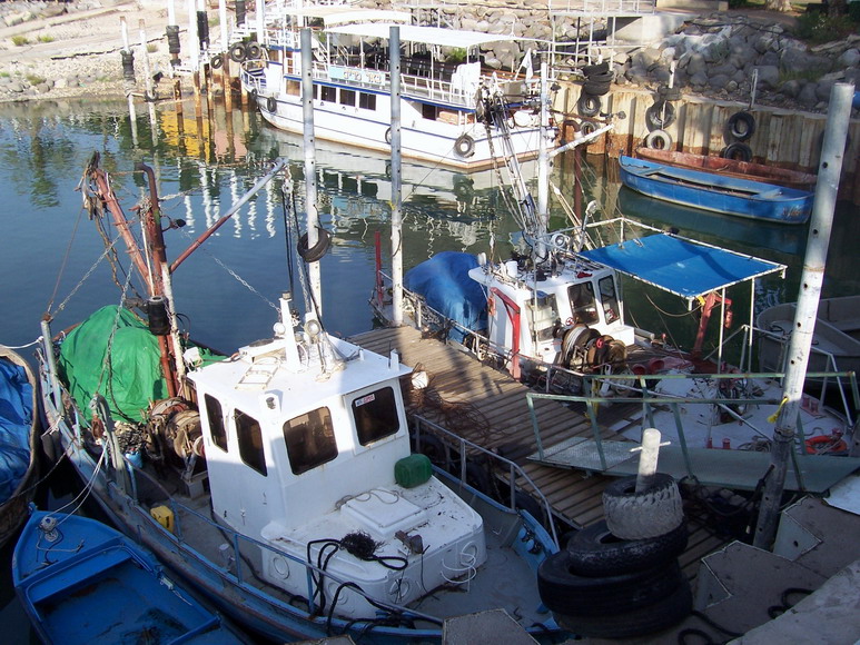 isra297.jpg