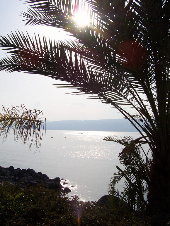 isra305.jpg