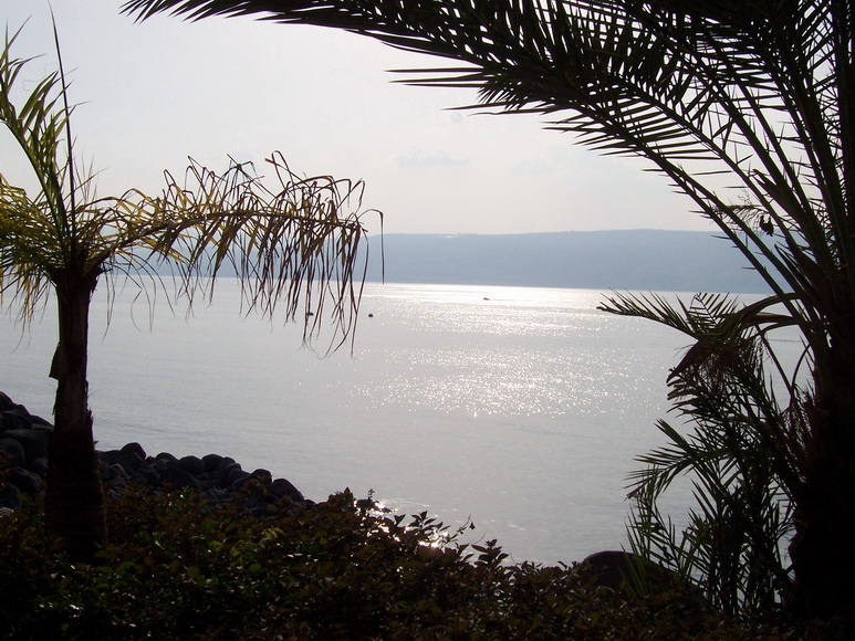 isra306.jpg