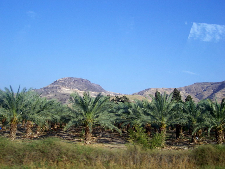 isra310.jpg