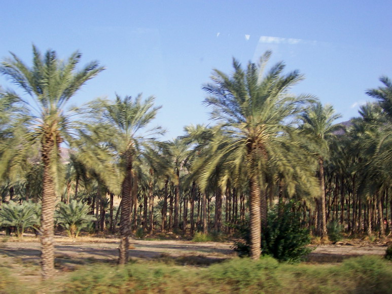 isra311.jpg