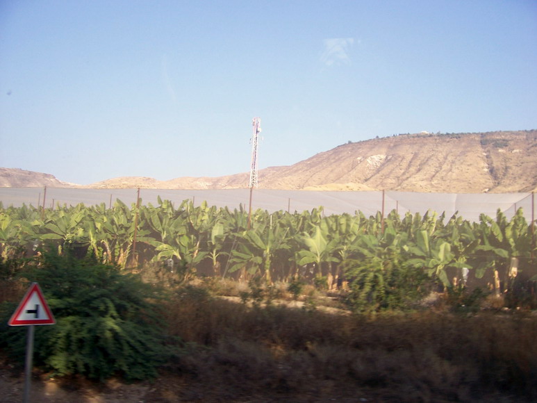 isra313.jpg