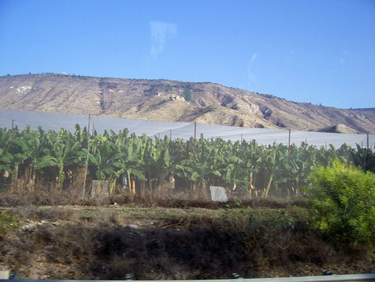 isra314.jpg