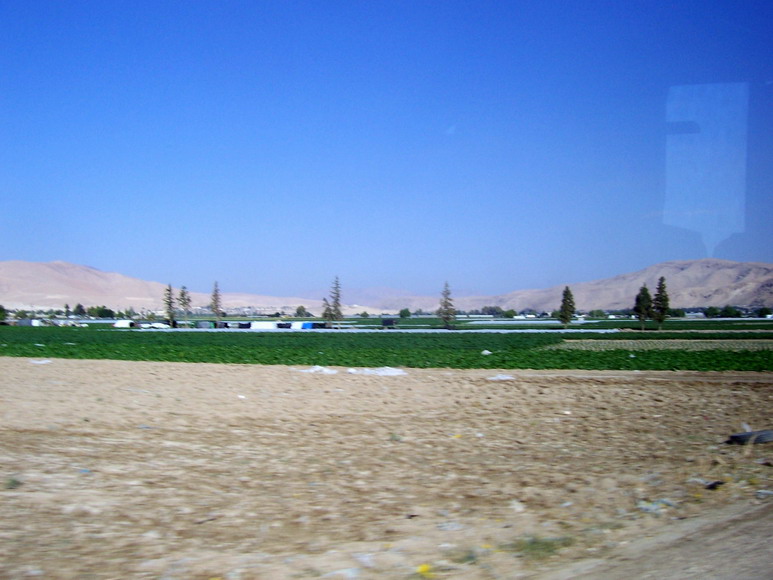 isra375.jpg