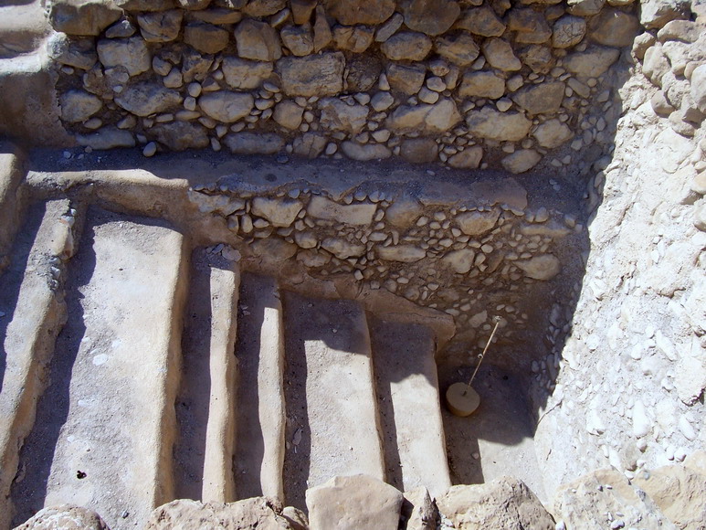 isra398.jpg