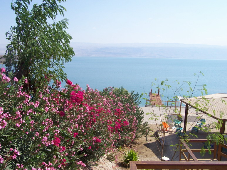 isra418.jpg