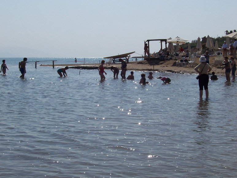 isra429.jpg