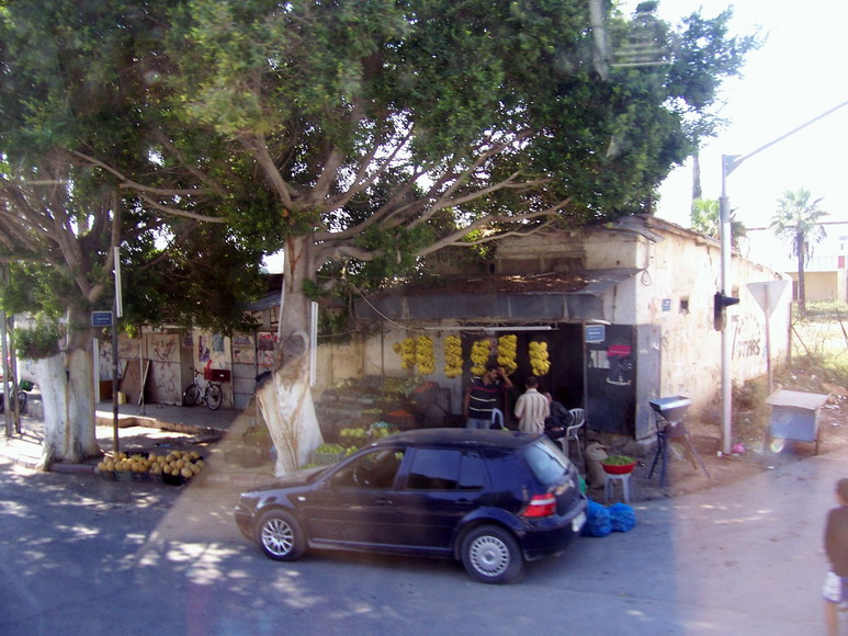 isra439.jpg