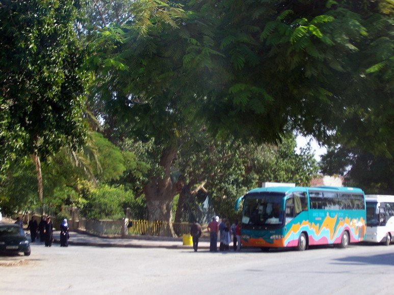isra444.jpg