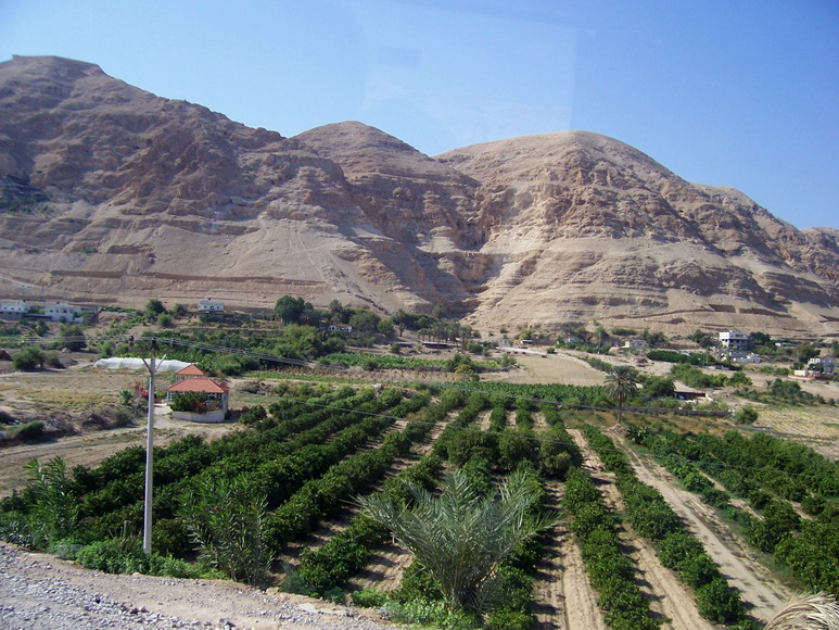 isra446.jpg