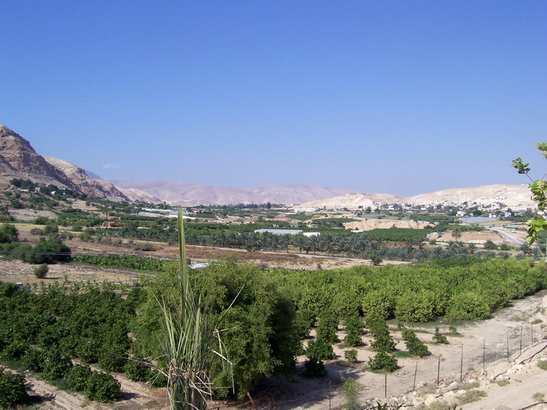 isra448.jpg