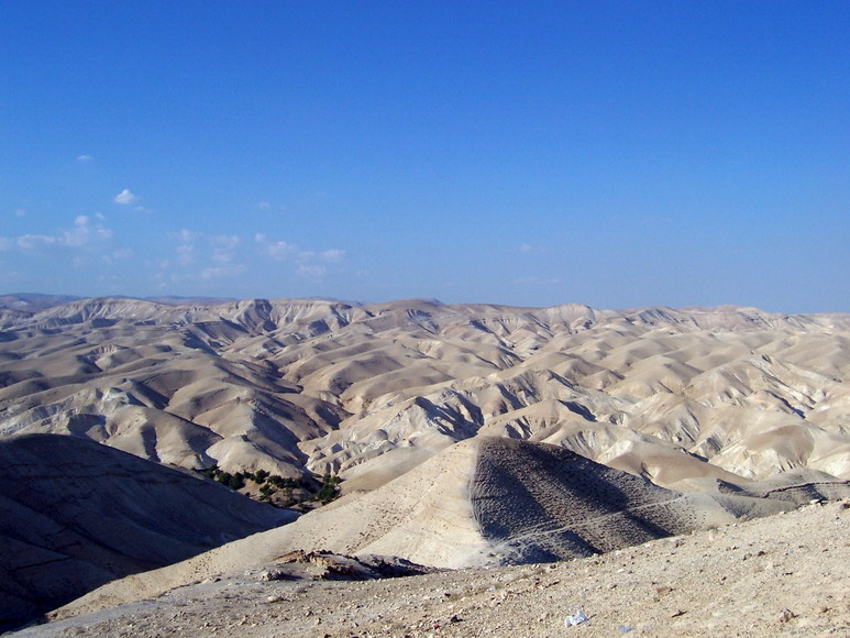 isra468.jpg