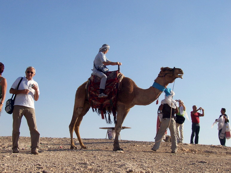 isra471.jpg
