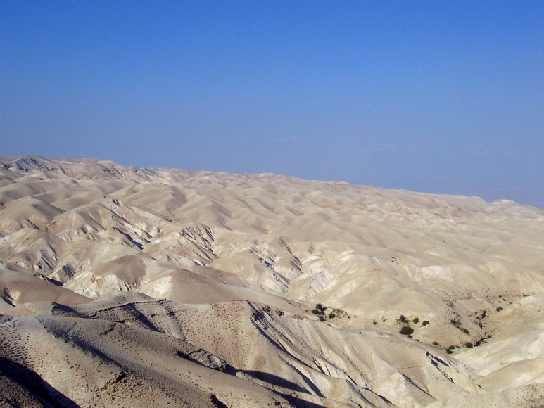 isra473.jpg