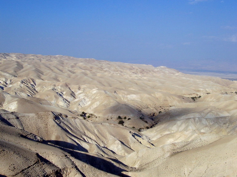 isra476.jpg