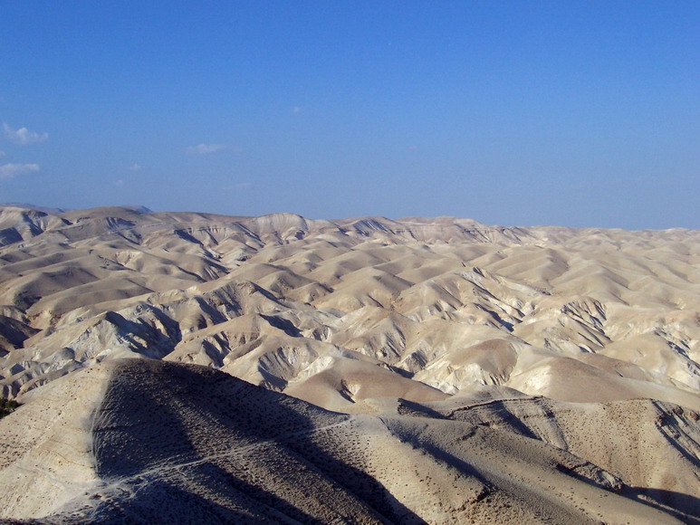 isra477.jpg