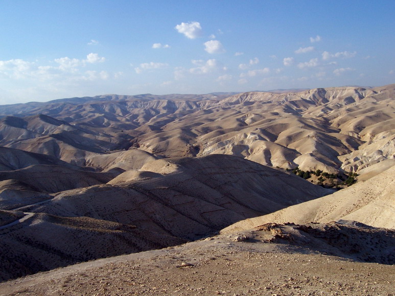 isra480.jpg