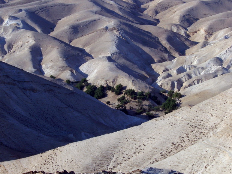 isra481.jpg
