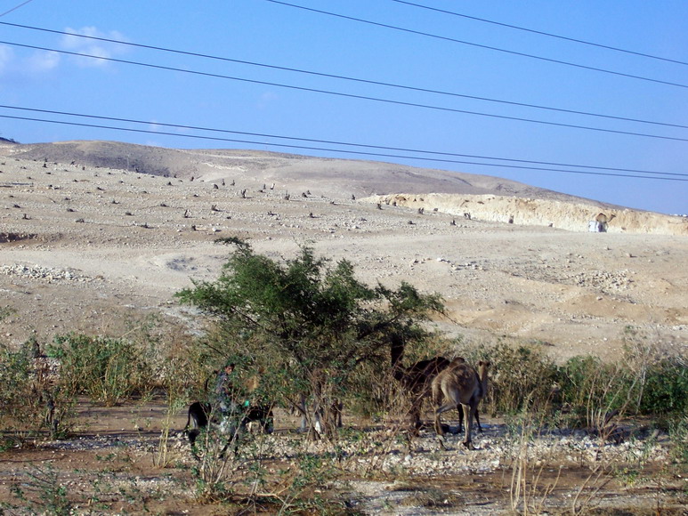 isra485.jpg