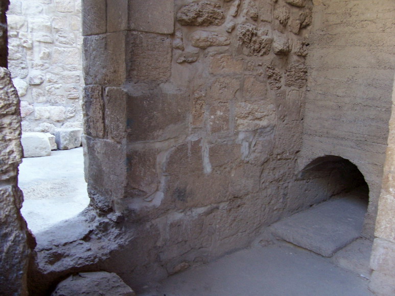 isra489.jpg