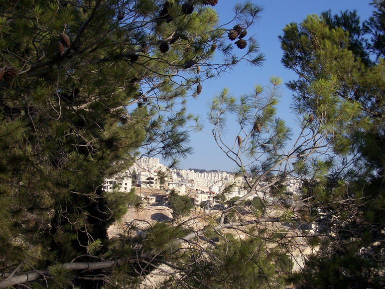 isra502.jpg