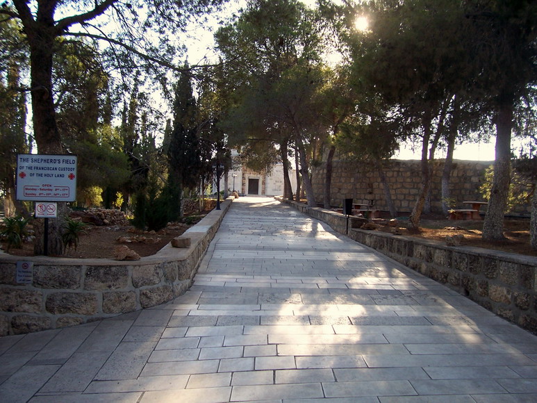 isra503.jpg