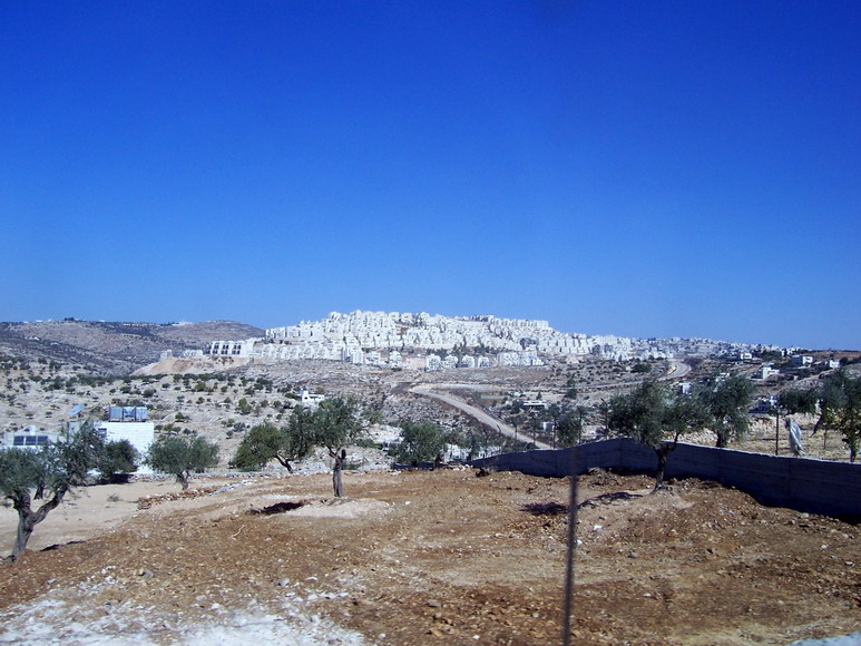 isra514.jpg
