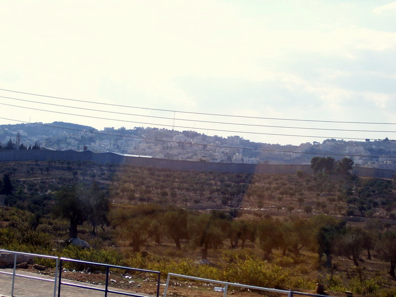 isra546.jpg