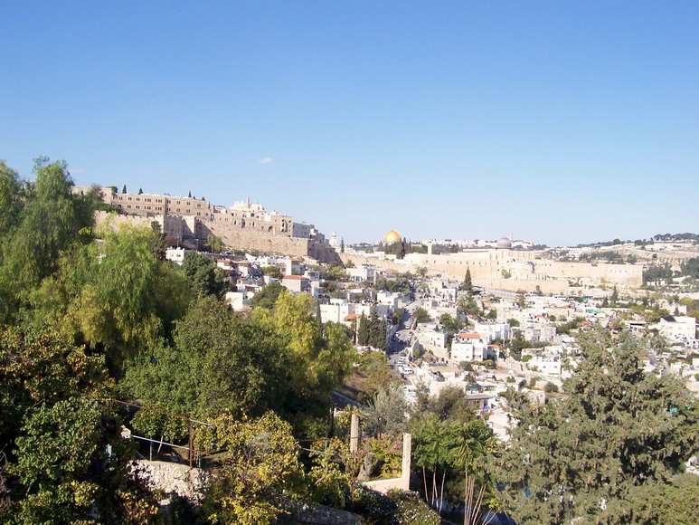 isra549.jpg