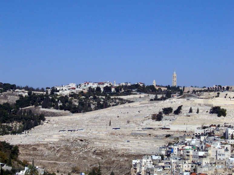 isra554.jpg