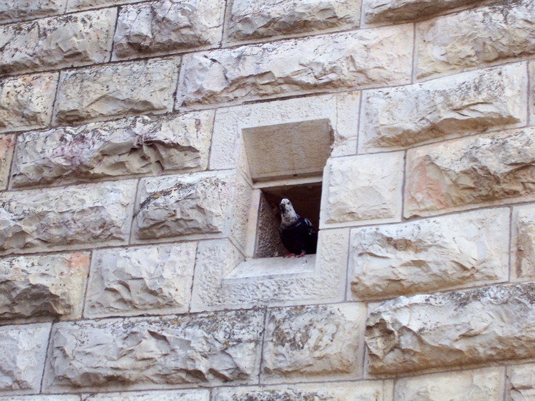 isra588.jpg