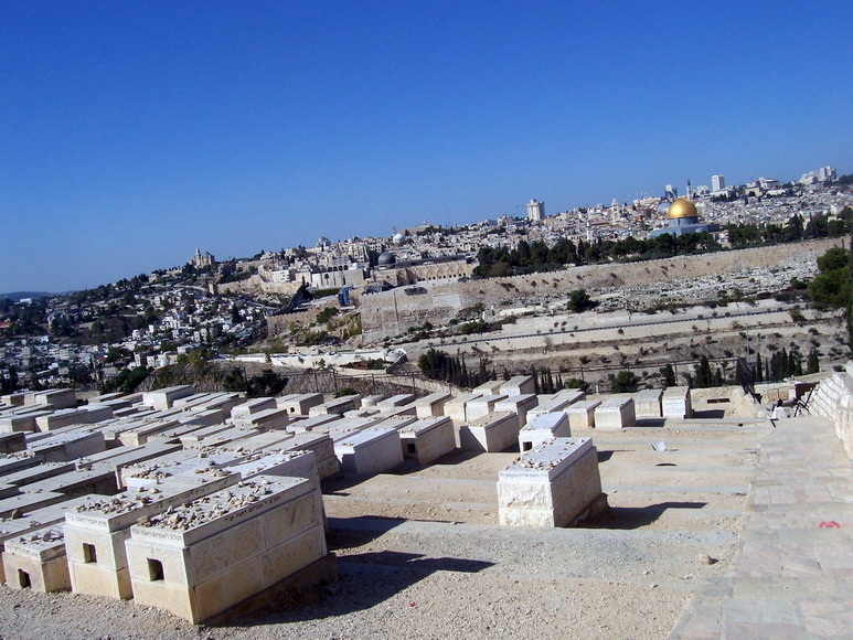 isra638.jpg