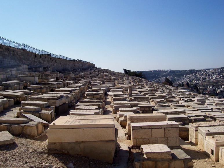 isra646.jpg