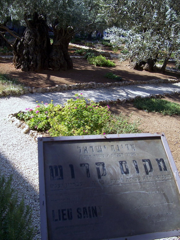 isra647.jpg