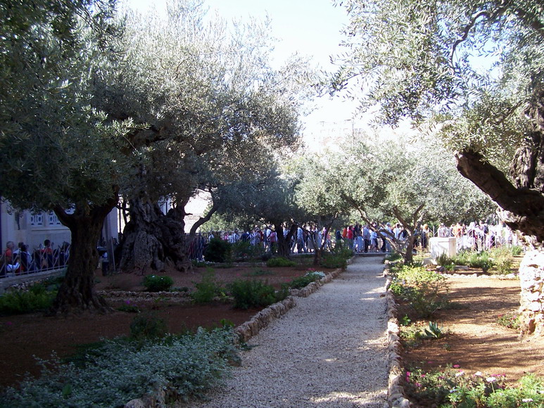 isra650.jpg