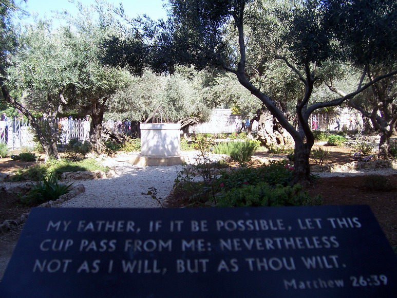 isra654.jpg
