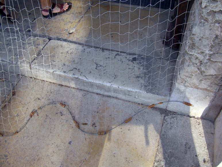 isra700.jpg