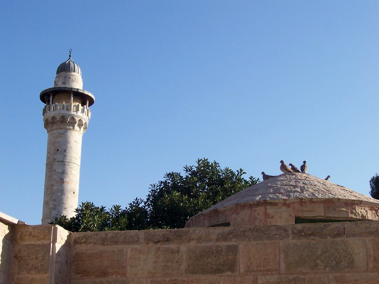 isra717.jpg