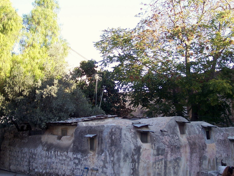 isra734.jpg