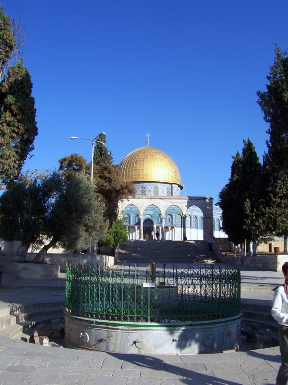 isra785.jpg