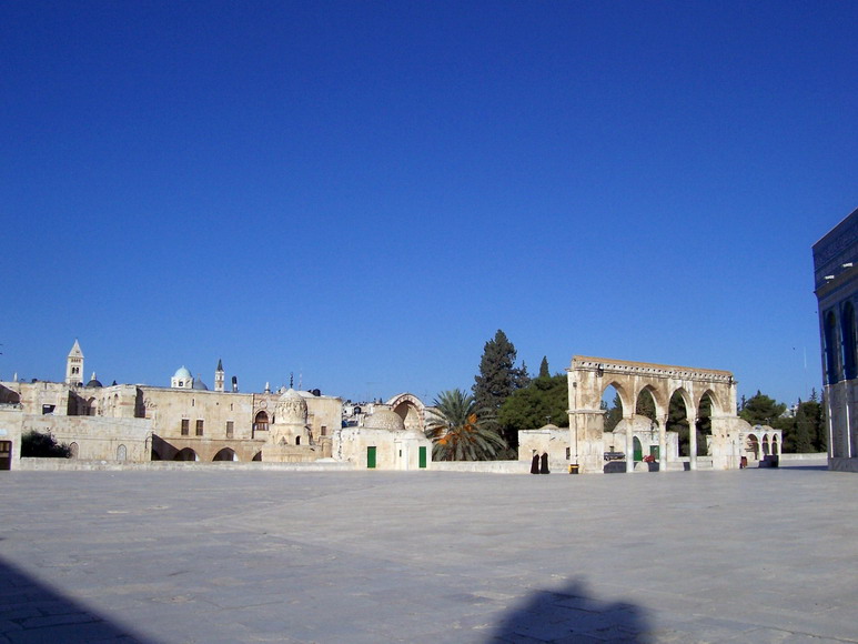 isra794.jpg