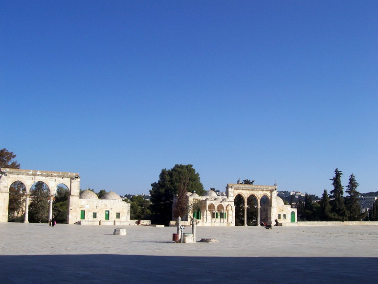 isra798.jpg