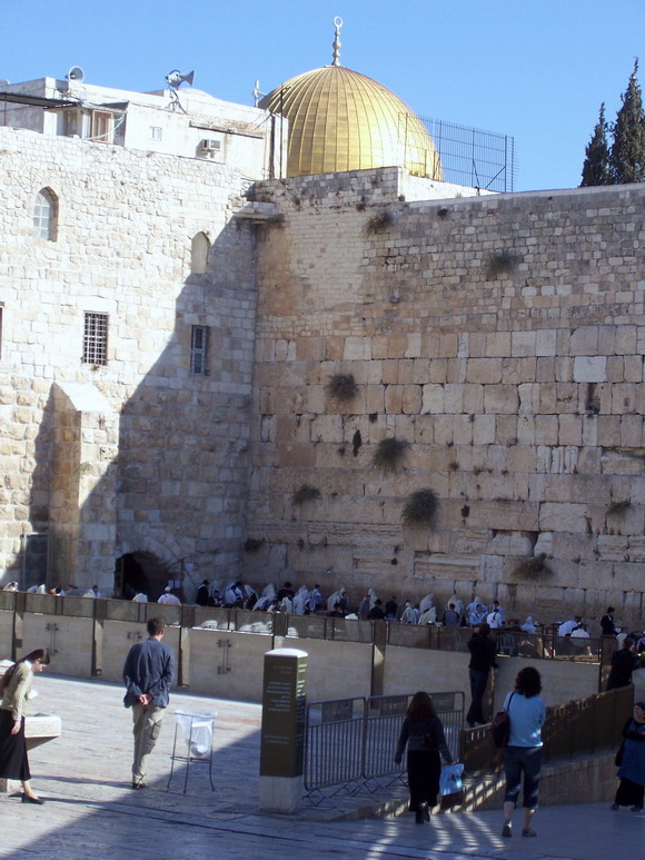 isra813.jpg