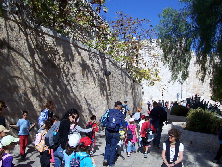 isra829.jpg