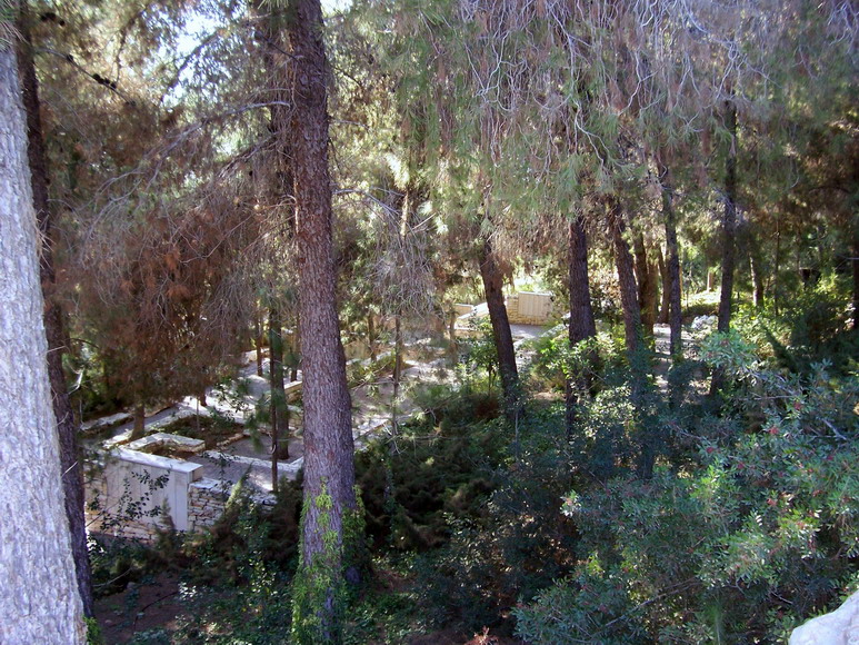 isra851.jpg