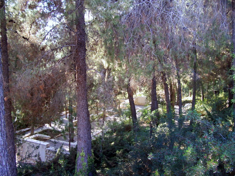 isra852.jpg