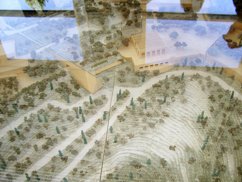 isra863.jpg